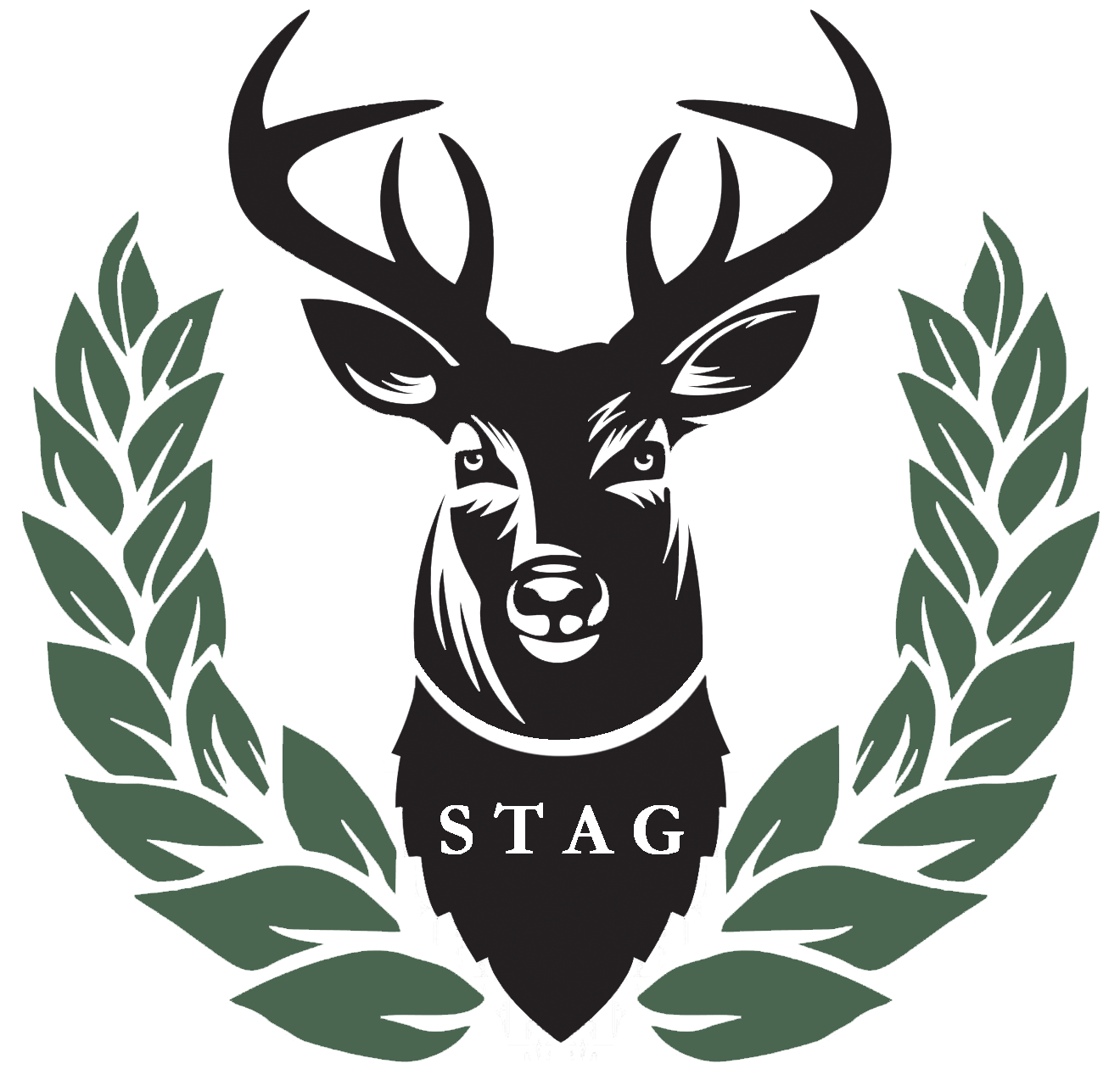 Stag Illustration by Elmrichdesign on Dribbble